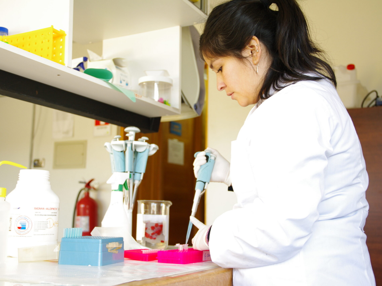 Innovadoras investigaciones en conservación y recursos naturales aportan valor al territorio